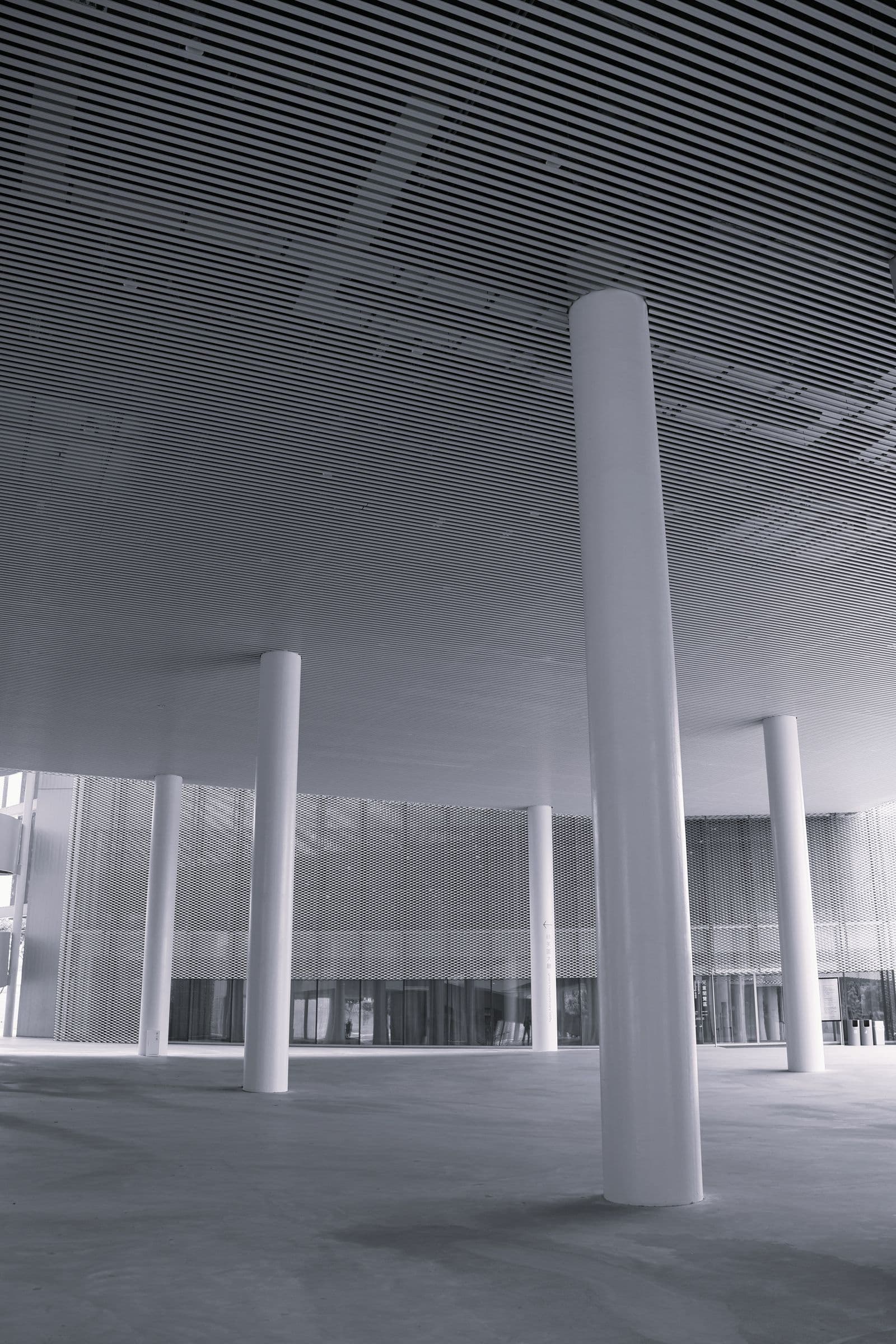 Rows of tall white columns in a modern minimalist building interior